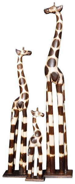 Giraffe08