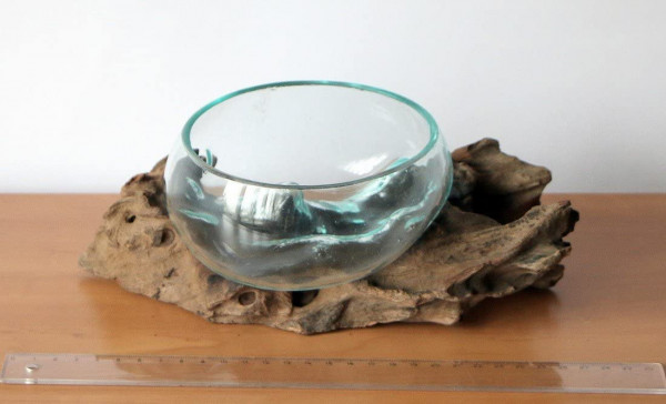 Glas-Schale Ø Glas 12-13 cm auf Wurzelholz